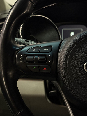 Kia Carnival, 2017 года, пробег 216971 км