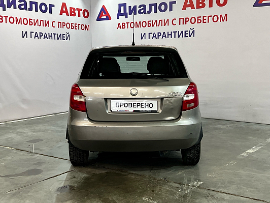 Skoda Fabia Sport, 2009 года, пробег 315000 км