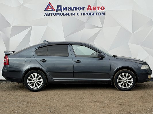Skoda Octavia Active, 2008 года, пробег 220361 км