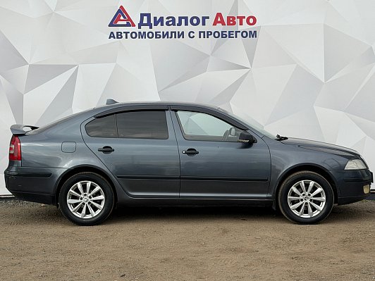 Skoda Octavia Active, 2008 года, пробег 220361 км