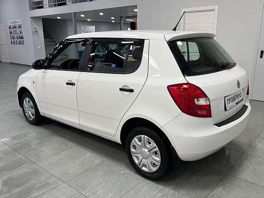 Skoda Fabia Ambition, 2012 года, пробег 160000 км