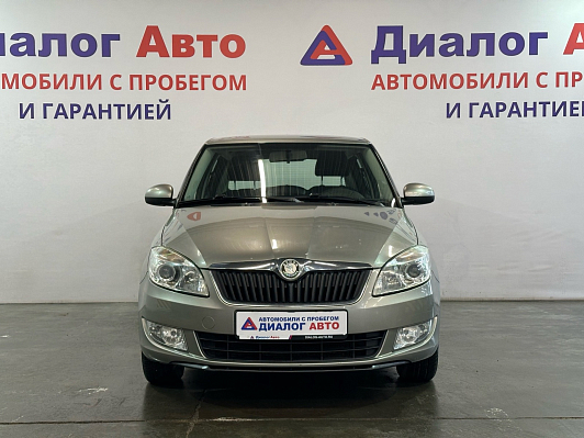 Skoda Fabia Fresh, 2010 года, пробег 128000 км