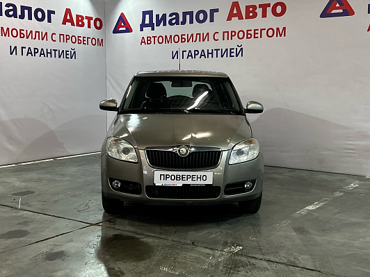 Skoda Fabia Sport, 2009 года, пробег 315000 км