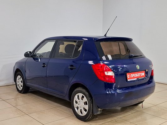 Skoda Fabia Classic, 2010 года, пробег 272260 км