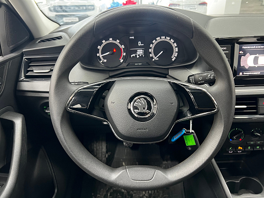 Skoda Rapid Active, 2021 года, пробег 48297 км