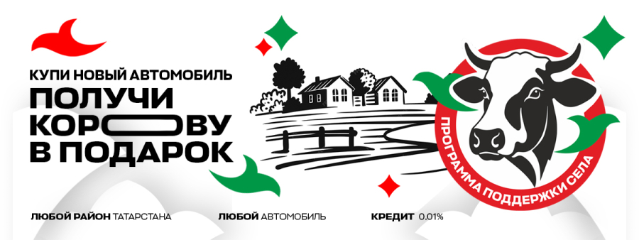 Программа поддержки села